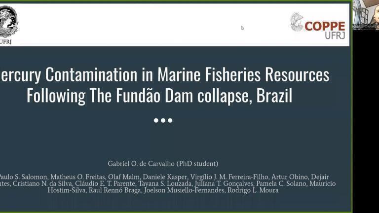 Mercury Contamination in Marine Fisheries Resources Following The Fundão Dam collapse, Brazil